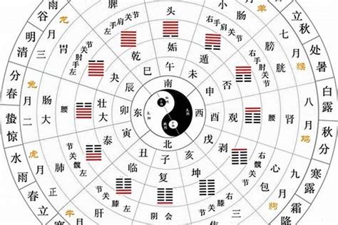 五行俱全|易道传统文化研究院：命理五行齐全就是好命吗？缺的五行应该如。